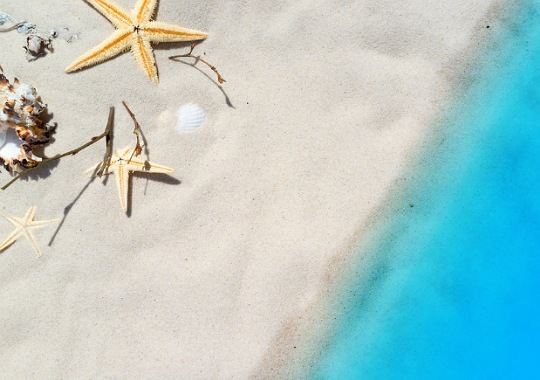 IMG_16072020_131856_(540_x_380_pixel)