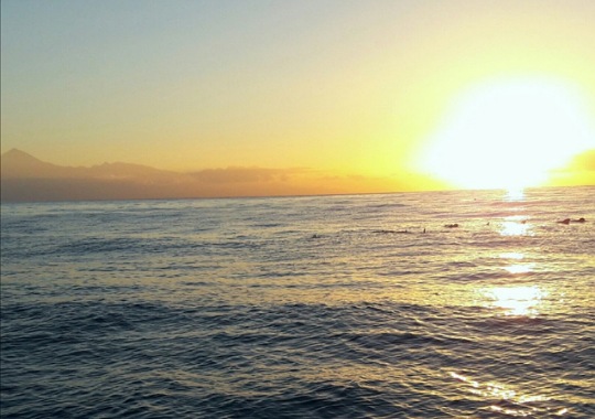 IMG_16072020_150021_(540_x_380_pixel)